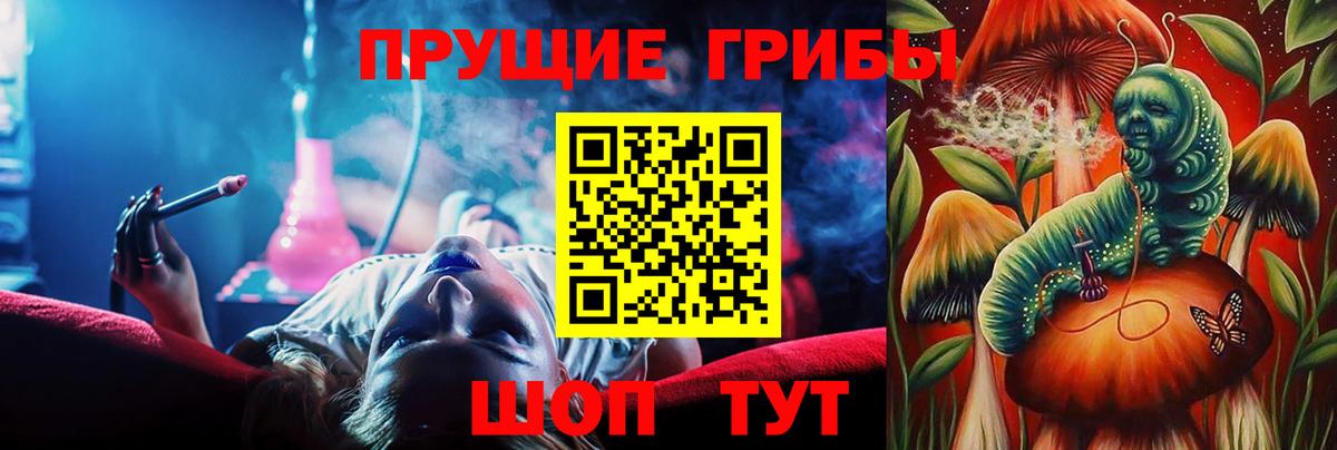 Псилоцибиновые грибы Cubensis  Псилоцибиновые грибы мицелий  Джанкой  Вход с VPN 